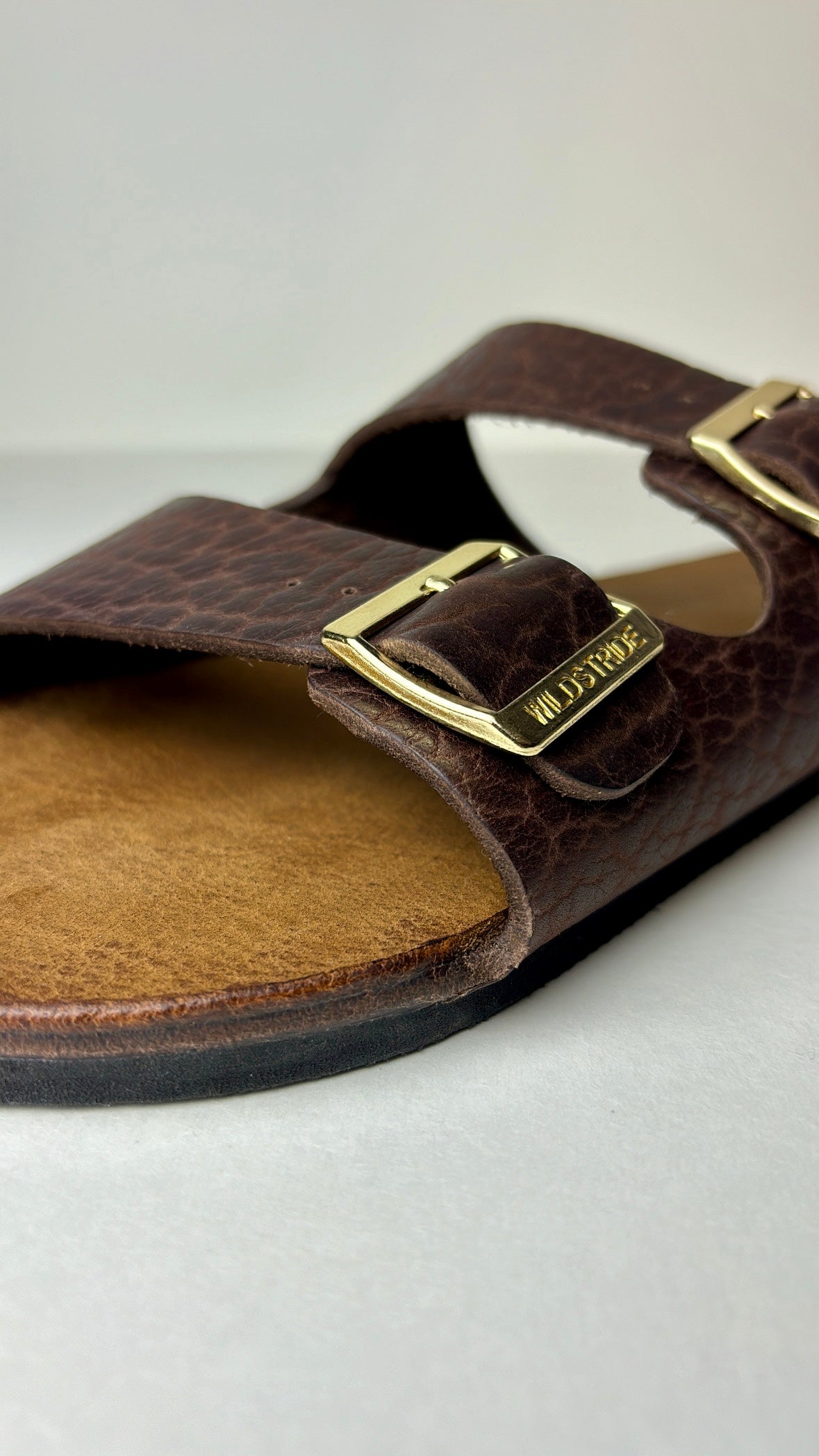 The American Bison Slide