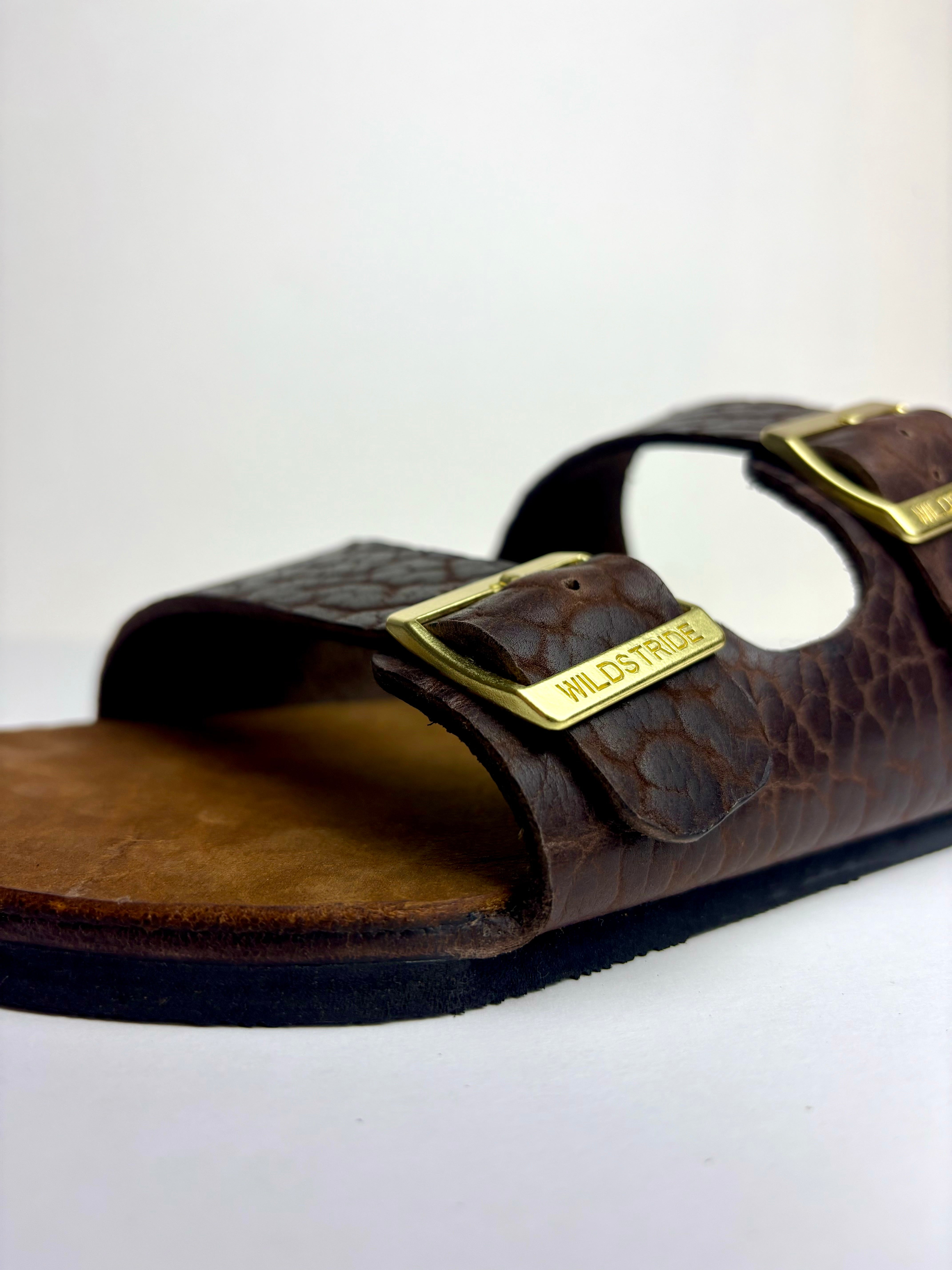 The American Bison Slide