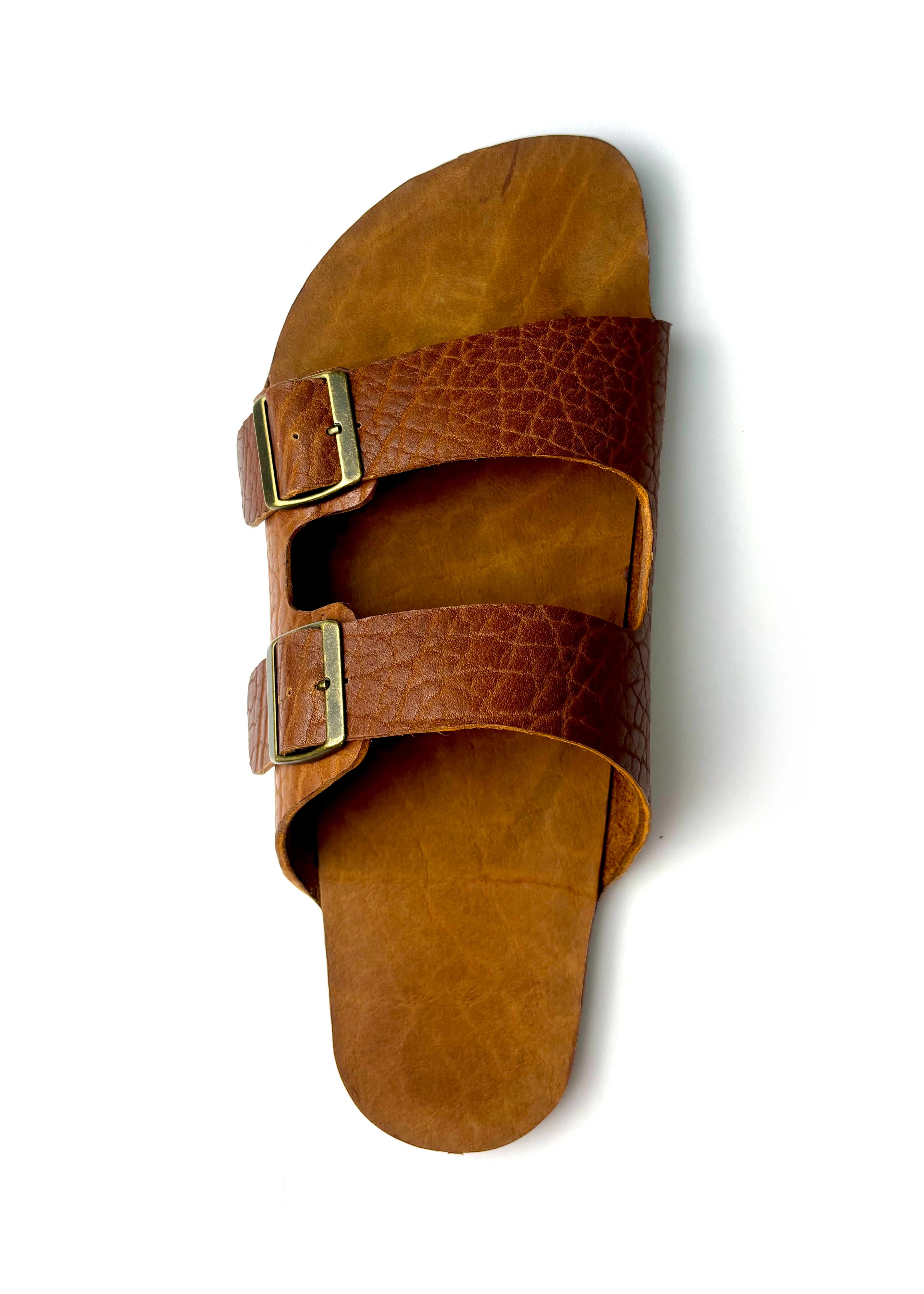 The American Bison Slide
