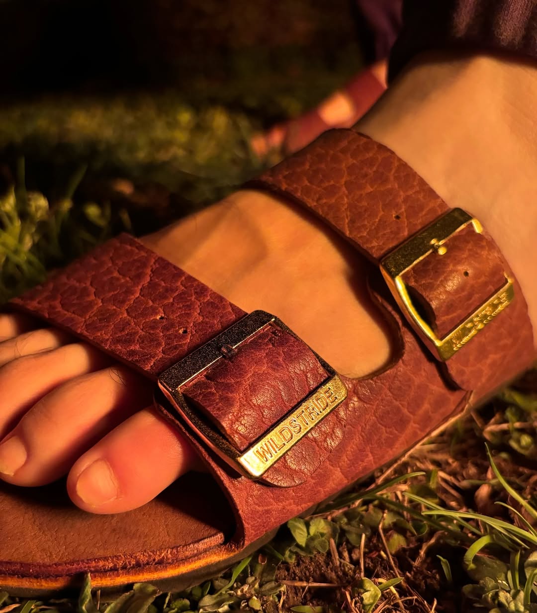 The American Bison Slide
