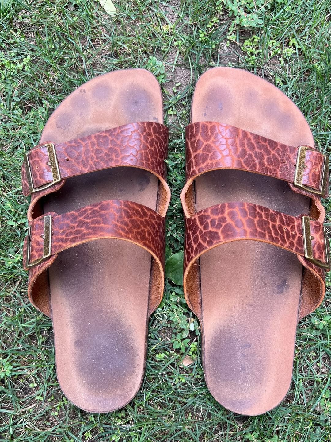 The American Bison Slide